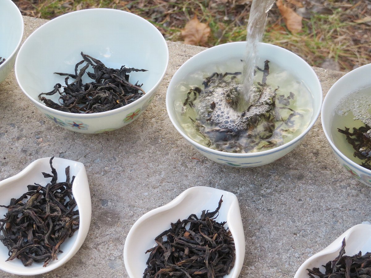 老茶の武夷岩茶の飲み比べお湯を注ぎます